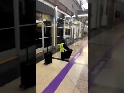 what is the next meme stock